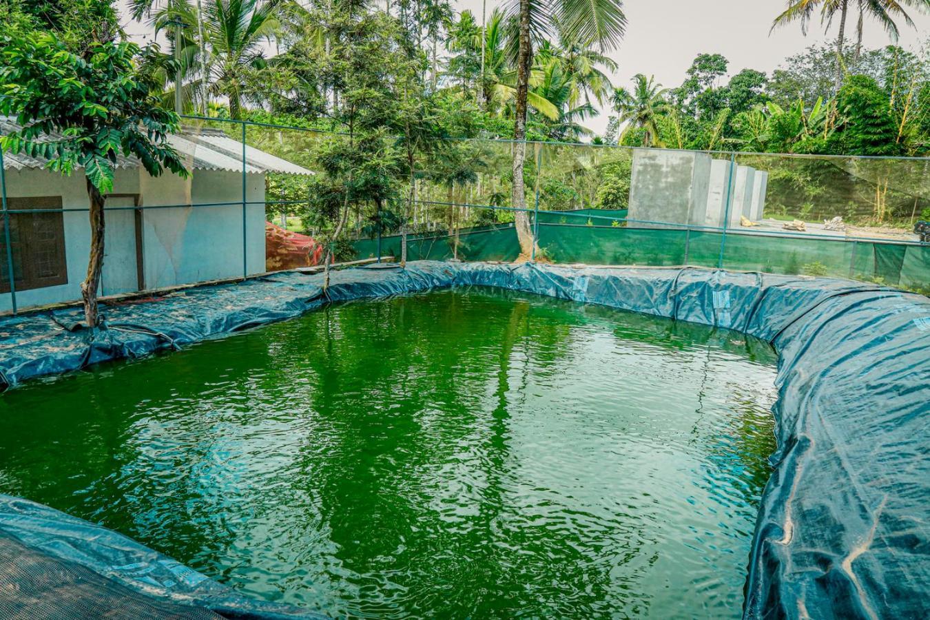 Green Auro By Bob Hotels Wayanad Exterior photo